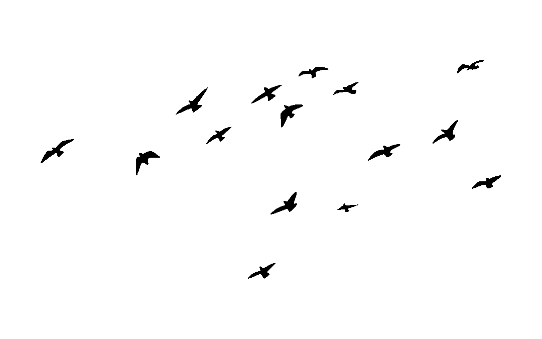 “Moda e bellezza: un incontro di libertà” di Fabio Maurizio Cerri, Presidente di Vivi Down